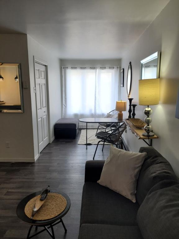 3,5 Beau frais peinturé et meublé de A a Z terrasse sur le toit