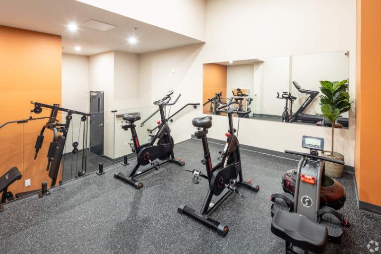 Studio - Montréal - $1,595 /mo