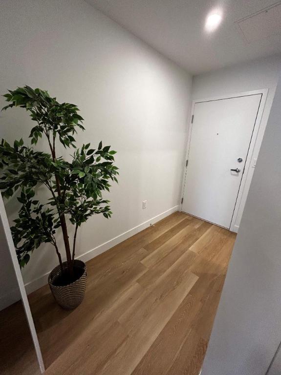 Studio - Montréal - $1,795 /mo