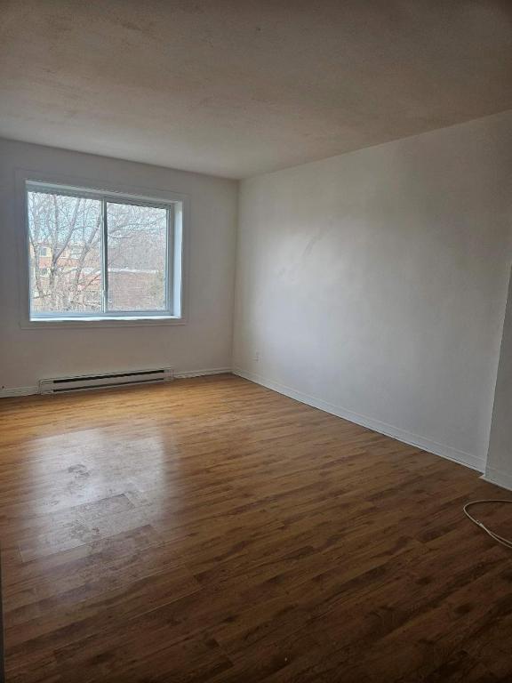 1 CH - 1 SDB - Montréal - $1,245 /mo