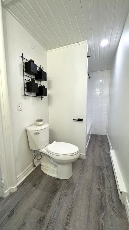 MAJESTUEUX 3 1/2 semi meublé dans un immeuble ancestral (LOGEMENT UNIQUE)