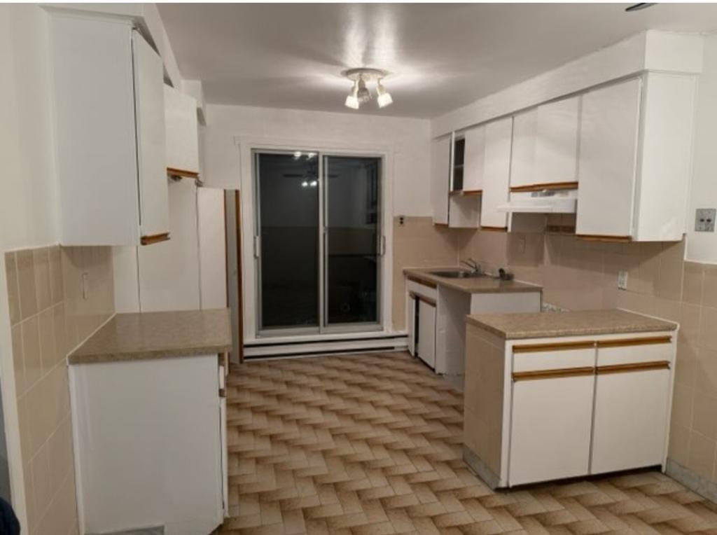 BEAU ET GRAND 4.5 LIBRE MAINTENANT RÉNOVÉ PEINTURÉ MONTREAL NORD