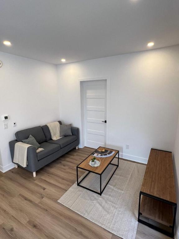 Neuf 5 1/2, électros et internet inclus! 6180 Vanier