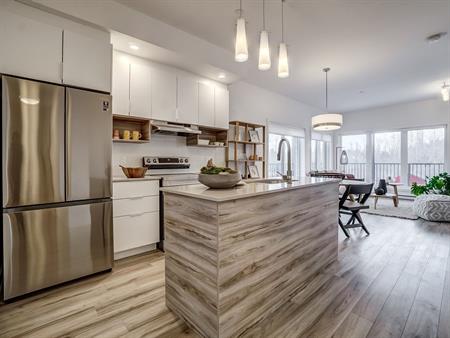 Penthouse + Loft - 20 Rue De La Bonne-Renommée, Gatineau