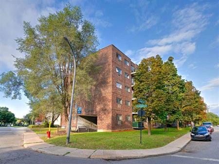 1 Bdrm Available At 5460 Sunnybrooke Avenue, Côte Saint-Luc - 5460 Sunnybrooke Avenue, Côte-Saint-Luc