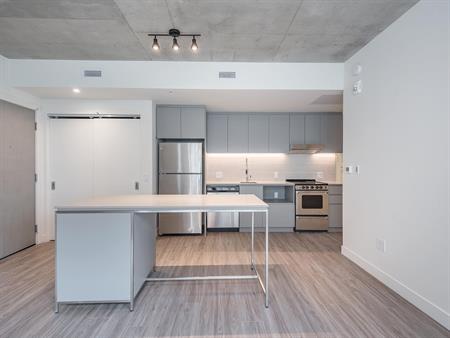 1 Bedroom - 5250 Assomption, Montréal