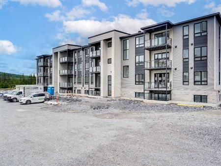 Beaux 4 1/2 neufs ! Cowansville. Ascenseur et petit chien permis. Libre MAINTENANT! PROMO en cours !