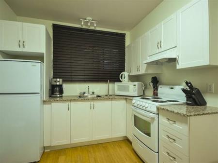 Brand New 1 1/2 Studio All Furnished