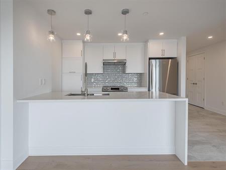 2 Bedroom - 1550 Boul Laval, Laval