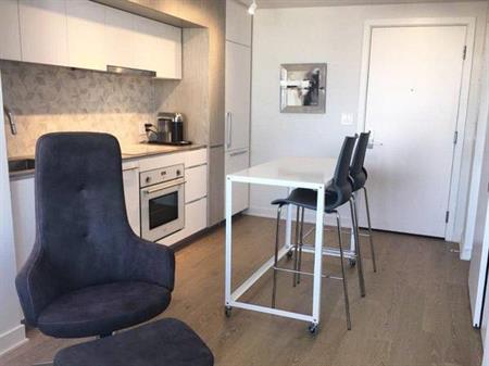 Furnished Condo Rental-Stylish Studio Suite, City Views, Clever Design