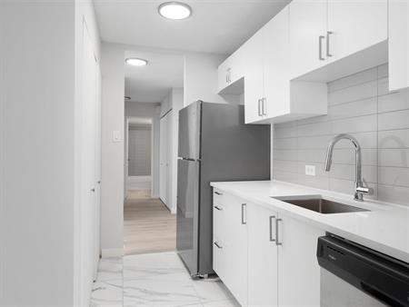 Sunny And Renovated 3 1/2 - Saint Laurent - 335 Boulevard Deguire, Saint-Laurent