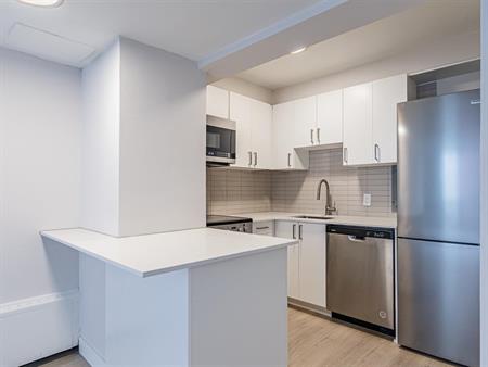 Renovated 2 Bedroom Unit - Downtown Montreal - 2121 Tupper Street, Montréal