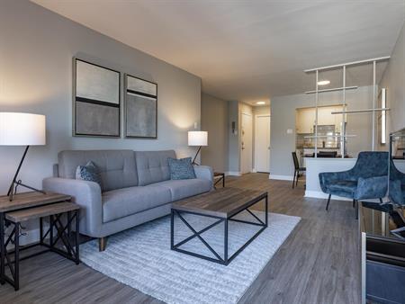 Renovated And Sunny Studio Unit - 4615-4625 Bourret Avenue, Montréal