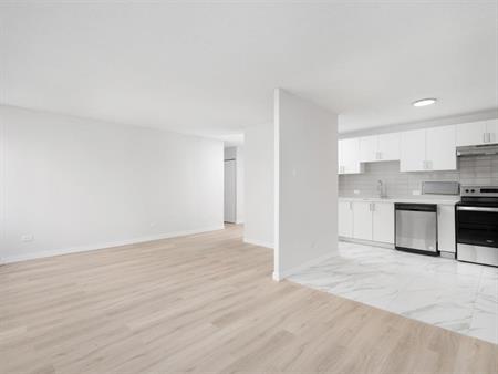 Sunny And Spacious 1 Bedroom Apartment - Saint Laurent - 135 Boulevard Deguire, Saint-Laurent