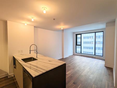 1 Bedroom - 2060 Rue Peel, Montréal