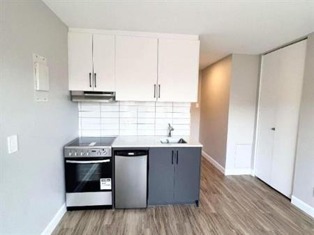 Studio - Montréal - $1,020 /mo