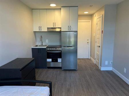 Studio - Montréal - $1,245 /mo