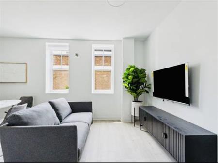 Brand New 2 Bedroom Downtown Montreal ** Furnished **