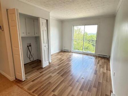 2 CH - 1 SDB - Sherbrooke - $1,150 /mo