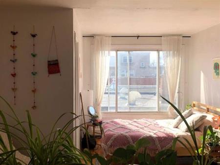 Studio - Montréal - $1,095 /mo