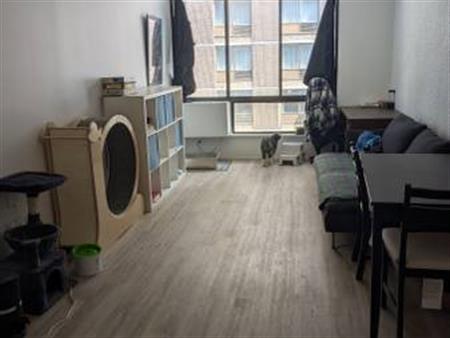 3.5/1 bedroom apartment close to downtown