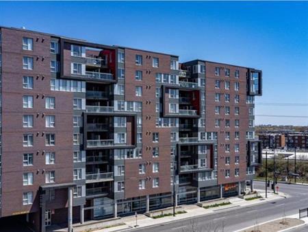 Condo à louer - 2 Chambres à Montréal-Nord - Disponible dès le 15 septembre 2024!