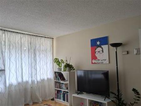 great sunny downtown entirely equipped to sublet