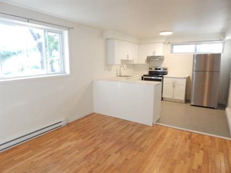 Spacious 1-bedroom Apartment in Cote-des-Neiges