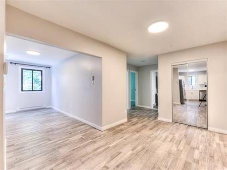 Newly renovated Bright 2-bedroom Apartment in Plateau