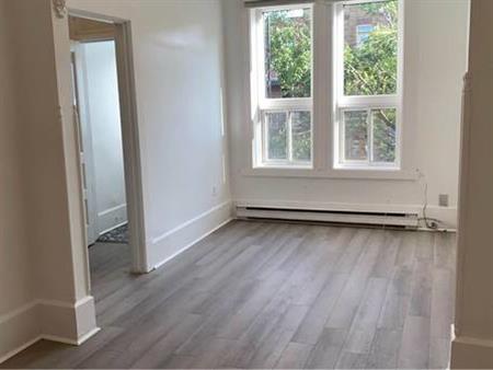 Newly renovated Large 1-bedroom Apartment in Verdun