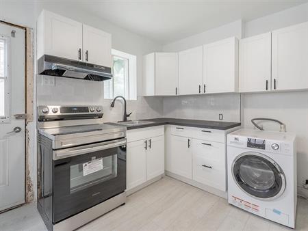 1 Bedroom - 1838 Rue De Cadillac, Montréal