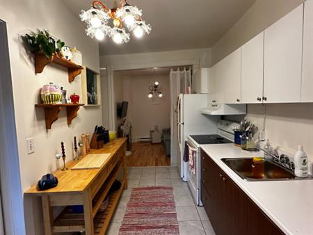 Spacious Apartment In Plateau $1445/mois