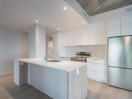 1 Bedroom - 8305 Avenue Du Cirque, Montréal