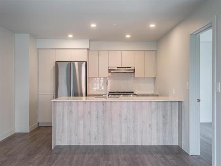 1 Bedroom - 308 Crevier, Montréal