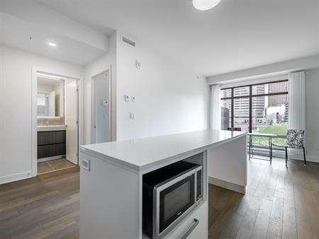 1 Bedroom - 628 Rue St-Jacques, Montréal