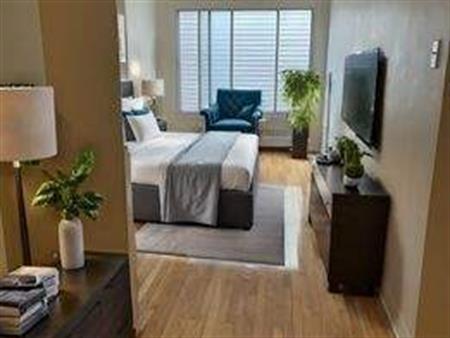 Studio - Montréal - $1,095 /mo