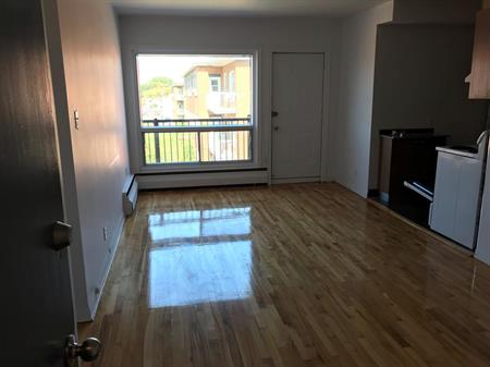 1 CH - 1 SDB - Montréal - $1,300 /mo