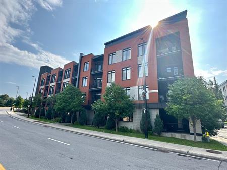 Appartement Montréal (Ville-Marie) À Louer