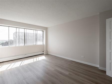 Sunny And Renovated 3 1/2 - Saint Laurent - 335 Boulevard Deguire, Saint-Laurent