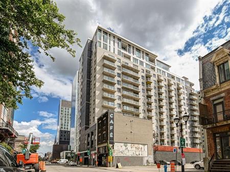 1 Bedroom - 1150 Rue Saint-Denis, Montréal