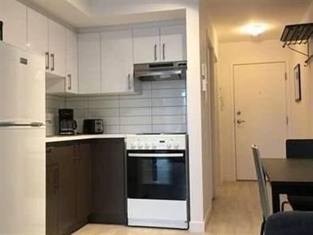 Studio - Montréal - $1,195 /mo