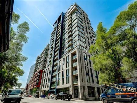 Modern one-bedroom apartment in downtown