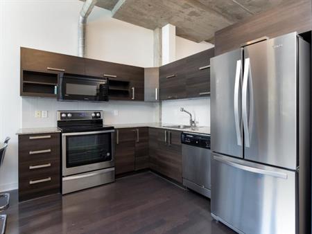 2 Bedroom - 1200 Rue St-Alexandre, Montréal