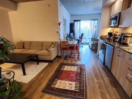 One bedroom apartment in the heart of Montreal Downtown!