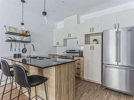 MAGNIFIQUE APPARTEMENT À LOUER À JOLIETTE - JANVIER