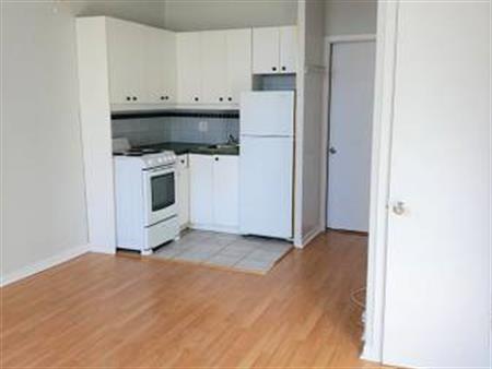 Bright Studio apartment in Downtown Montreal! December or January!