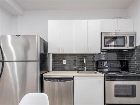 4 Bedroom with window, Plateau,15 min to McGill, Renovated, Furnished
