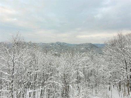 Saison de Ski ⛷️ - 4 ½ TOUS INCLUS avec Vue Panoramic