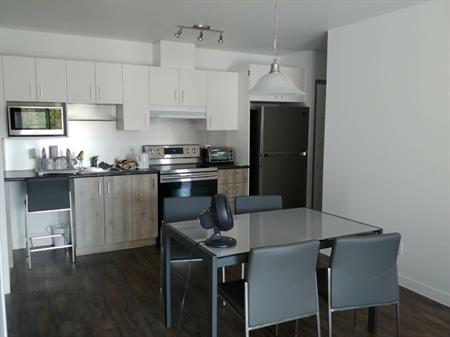 602-1497 Rue Conseil