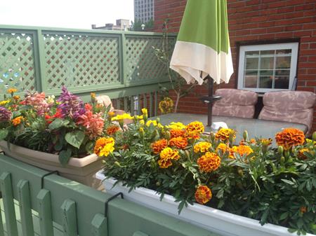 UNE CHAMBRE À LOUER VISITES SUR RDV 514